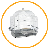 Cages & Accessories