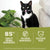 Acana Premium Pate Cat Wet Food - 6x85g