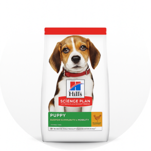 Puppy
