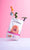 Amanova Dry Adult Mini Sensitive Salmon Deluxe Dog Food