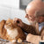 Pro nutrition Prestige  Large Breed  Chicken Adult Dry Cat Food -2Kg