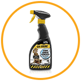 Training And Cleaning