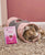Schesir Born Carnivore Grain Free Oven Baked Dry Cat Chicken & Egg Kitten Food - 1.25kg