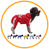 Dog Clothes