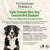 Synergy Labs Veterinary Formula Solutions Triple Strength Dirty Dog Concentrated Shampoo - 503ml