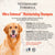 Synergy Labs Veterinary Formula Solutions Ultra Oatmeal Moisturizing Shampoo - 503ml