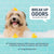Synergy Labs Veterinary Formula Solutions Soothing & Deodorizing Oatmeal Shampoo - 503ml