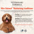 Synergy Labs Veterinary Formula Solutions Ultra Oatmeal Moisturizing Conditioner - 503ml