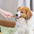 Whimzees Soft Daily Dental Dog Treats Value Bag – Medium - 14pcs