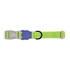 Zee.Dog Nox Lumen Collar