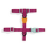 Zee.Dog Nox Sidus H-Harness