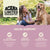 Acana Limited Ingredient Diet Grass Fed Lamb Dry Dog Food - 2kg - The Pets Club
