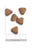 Amanova Dry Sterilized Cat Exquisite Chicken Cat Food - The Pets Club