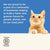 Applaws Cat Tuna with Seabream Pouch - 3x70g - The Pets Club