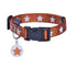 Bobby Midnight Collar - Orange / Small
