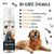 Bugalugs Oatmeal Coconut & Lime No Rinse Dog Shampoo - 200ml - The Pets Club
