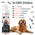 Bugalugs Papaya & Coconut No Rinse Dog Shampoo And Conditioner - 200ml - The Pets Club