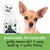 Bugalugs Soothing Ear Wipes - 100pcs - The Pets Club