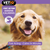 VetIQ Serene Calming Dog Ointment - 50g