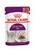 Royal Canin Feline Health Nutrition Sensory Feel Gravy (WET FOOD - POUCHES) -12x85g