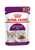 Royal Canin Feline Health Nutrition Sensory Feel Gravy (WET FOOD - POUCHES) -12x85g