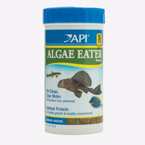 Fish Food