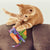 Kong Pull-A-Partz Purrito Cat Toy