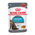 Royal Canin Feline Care Nutrition Urinary Care Gravy Wet Cat Food - 12x85g