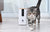 Dogness Smart Pet Treat Dispenser with HD – 1080p Camera App Control - The Pets Club