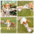 Dogness Water Bottle With Food Storage For Dog - Pink - The Pets Club