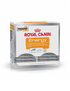 Royal Canin Nutritional Supplement Energy -60X50g