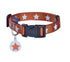 Bobby Midnight Collar - Orange / Small