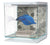 Marina Betta Kit Skull 2 L
