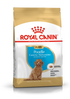 Royal Canin Breed Health Nutrition Poodle Puppy -3 Kg