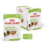 Royal Canin Size Health Nutrition XS Adult (Wet Food - Pouches)- 12X85 g