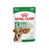Royal Canin Mini Ageing 12+ Wet Dog Food in Gravy - 12x85g