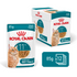Royal Canin Feline Health Nutrition Ageing 11+ Jelly (Wet Food - Pouches) -12X85g