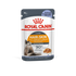 Royal Canin Feline Care Nutrition Intense Beauty Jelly Wet Cat Food - 85g