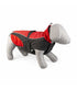 Duvo+ Dog Jacket Hi Vis Casual Red/Black