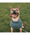 Duvo+ Dog Sweater Cozy - Grey