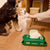 Earth Rated Dog Wipes - 100 Count - The Pets Club