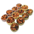 Exotic Nutrition Fruit & Veggie Tarts - 12Pcs/Box - The Pets Club