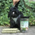 Exotic Nutrition Timothy Puff Sticks - The Pets Club