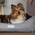 Scruffs Expedition Box Dog Bed