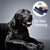 Four Paws Magic Coat Professional Series Self Cleaning Slicker Large One Size - The Pets Club