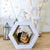 District 70 Hexa Cardboard Cat Scratcher