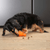 Hagen BIONIC Treat Shaker - The Pets Club