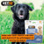 VetIQ Creamy Centres Dog Treats - 70g