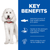 Hill’s Science Plan Hypoallergenic Medium Breed Adult Dry Dog Food With Salmon - The Pets Club