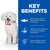 Hill’s Science Plan Hypoallergenic Small & Mini Adult Dry Dog Food With Salmon - 1.5Kg - The Pets Club